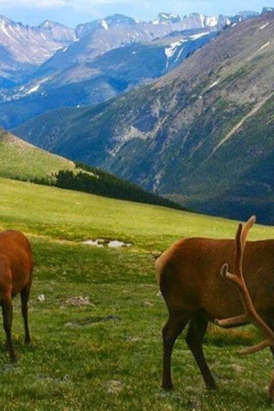 Estes Park: Bear Lake Corridor Tour - Frequently Asked Questions