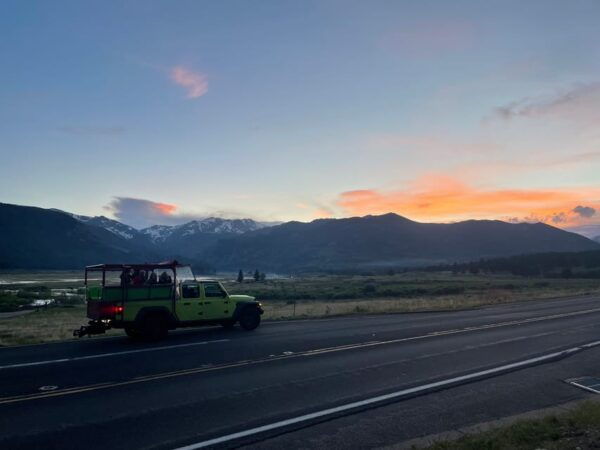 Estes Park: Guided Sunset Elk Mating Ritual Tour - Frequently Asked Questions