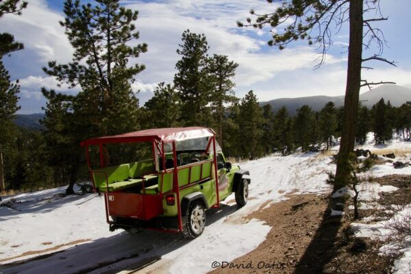 Estes Park: Rocky Mountain National Park Safari Tour - Frequently Asked Questions