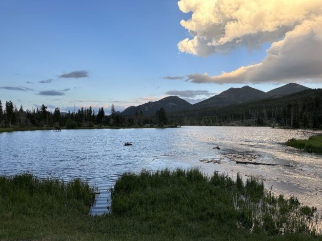 Estes Park: Rocky Mountain NP Glass-Top Guided Morning Tour - Customer Reviews and Recommendations