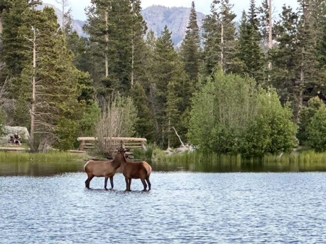 Estes Park: Rocky Mountain Retractable Glass-Top Guided Tour - Recommended Alternatives