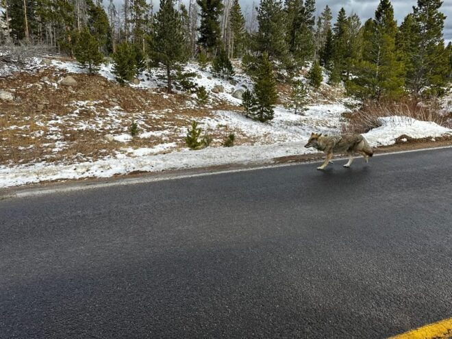Estes Park: Rocky Mountains Trail Ridge Panoramic Bus Tour - Meeting Point