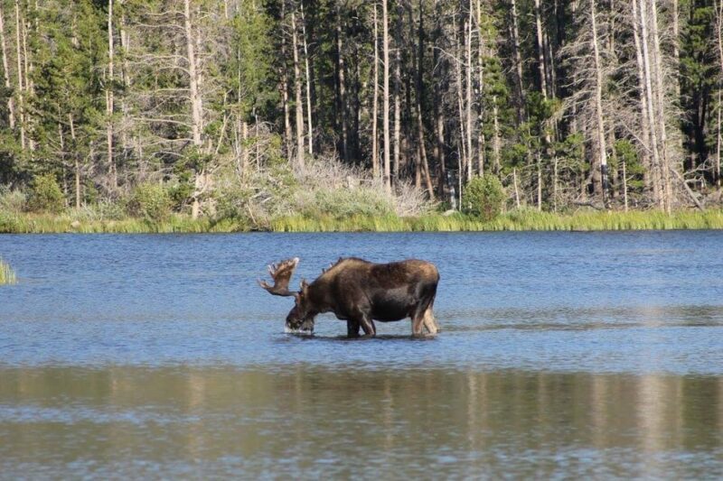 Estes Park: Waterfall Hiking Tour - Estes Park: Waterfall Hiking Tour