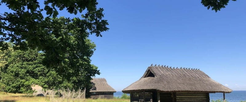 Estonian Open Air Museum Cultural VIP tour from Tallinn - A Deep Dive into the Estonian Open Air Museum VIP Experience