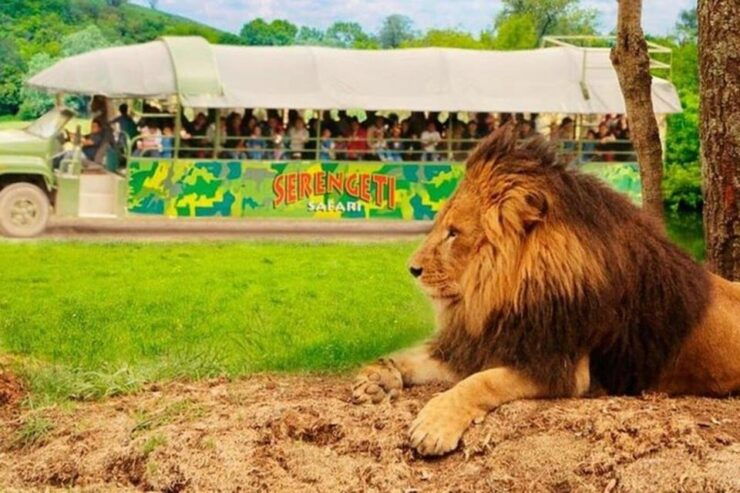 Estrella Safari Experience Ticket - Good To Know