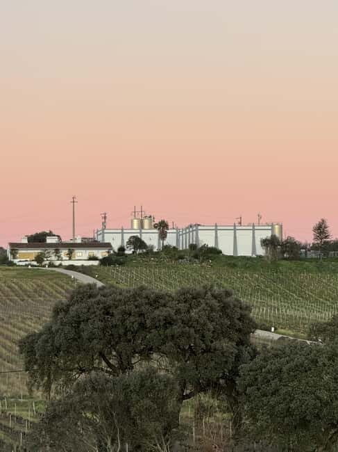 Estremoz, Alentejo, Portugal: Wine tour & Wine tasting - Good To Know