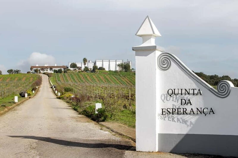 Estremoz, Alentejo, Portugal: Wine tour & Wine tasting - What to Expect During the Tour