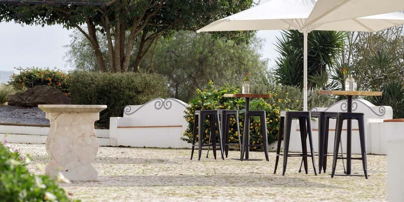 Estremoz, Alentejo, Portugal: Wine tour & Wine tasting - Practical Details & Logistics