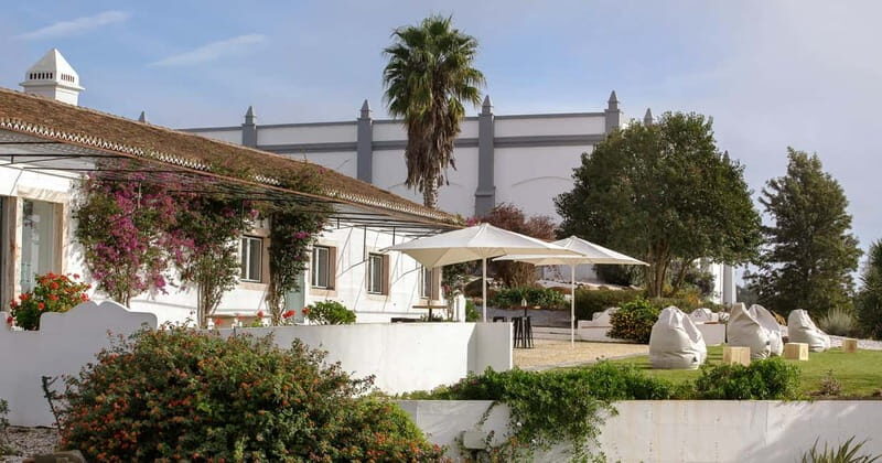 Estremoz, Alentejo, Portugal: Wine tour & Wine tasting - Why This Tour Works Well