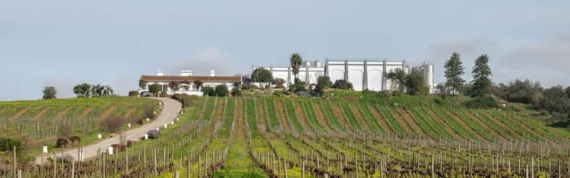 Estremoz, Alentejo, Portugal: Wine tour & Wine tasting - Final Thoughts