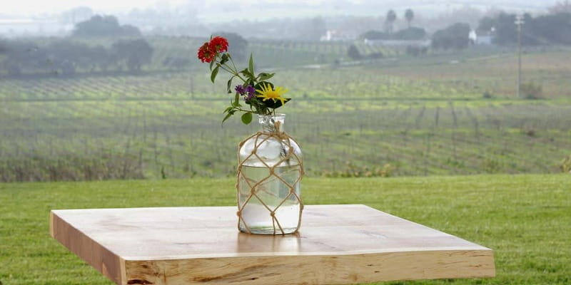 Estremoz, Alentejo, Portugal: Wine tour & Wine tasting - FAQ