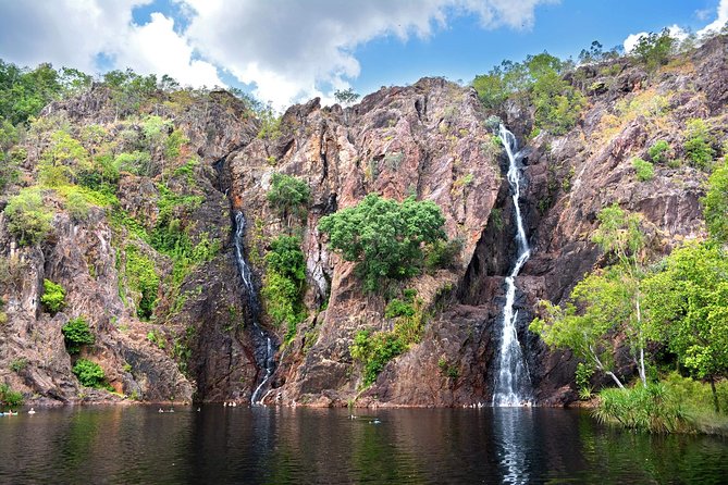 ETHICAL ADVENTURES - 1 Day Premium Litchfield Tour, Max 10 Guests - Breakdown of Reviews by Star Rating