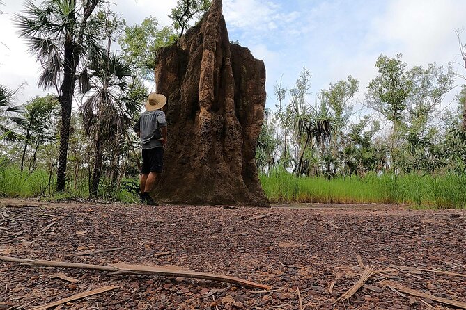 ETHICAL ADVENTURES - 1 Day Premium Litchfield Tour, Max 10 Guests - Not Applicable