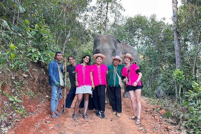 Ethical Elephant Observation Half Day from Chiang Mai - Good To Know