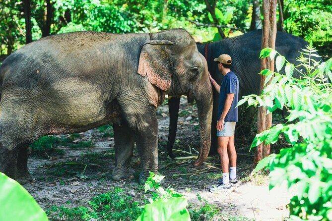 Ethical Elephant Sanctuary from Phuket (NO RIDE) - Ethical Elephant Sanctuary from Phuket (NO RIDE) Review