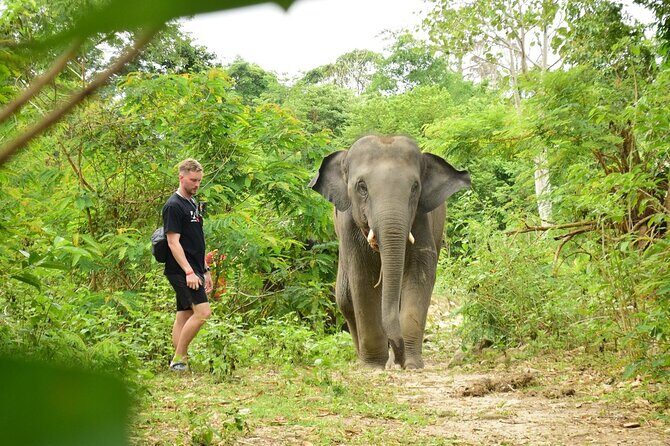 Ethical Elephant Sanctuary from Phuket (NO RIDE) - Frequently Asked Questions