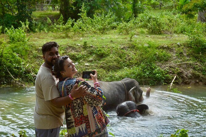 Ethical Elephant Sanctuary from Phuket (NO RIDE) - An In-Depth Look at the Ethical Elephant Sanctuary Experience