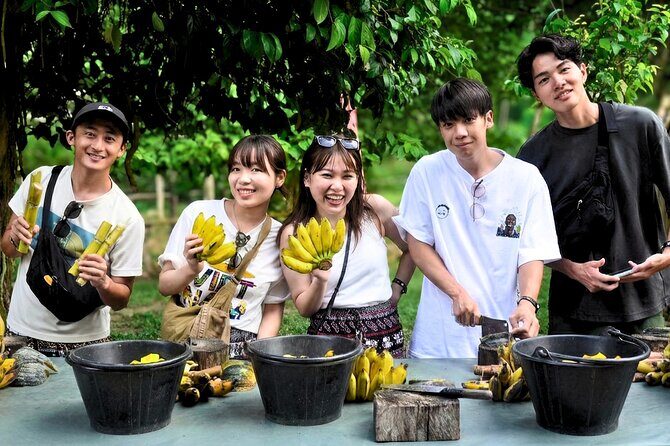 Ethical Elephant Sanctuary from Phuket (NO RIDE) - Who Will Love This Tour?