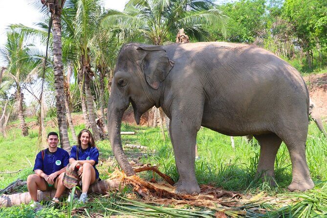 Ethical Elephant Sanctuary Tour from Bangkok & Pattaya - Good To Know