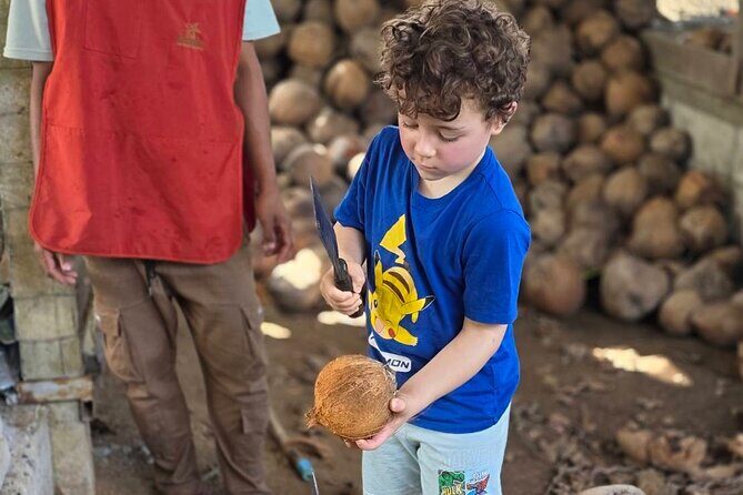 Ethical Elephants Sanctuary and Coconut Experience in Koh Samui - Good To Know