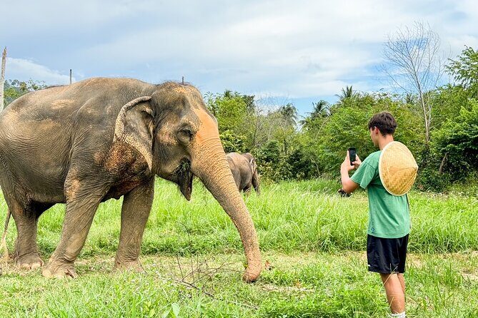Ethical Elephants Sanctuary and Coconut Experience in Koh Samui - Ethical Elephants Sanctuary and Coconut Experience in Koh Samui – A Deep Dive into Culture, Conservation, and Community