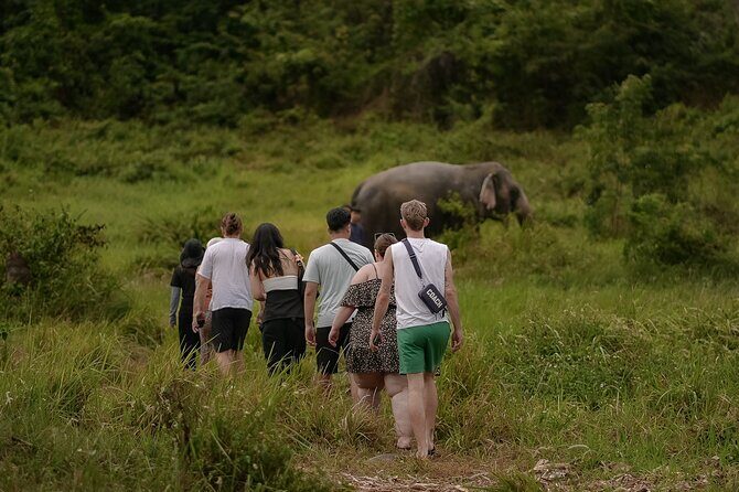 Ethical Elephants Sanctuary and Coconut Experience in Koh Samui - Frequently Asked Questions