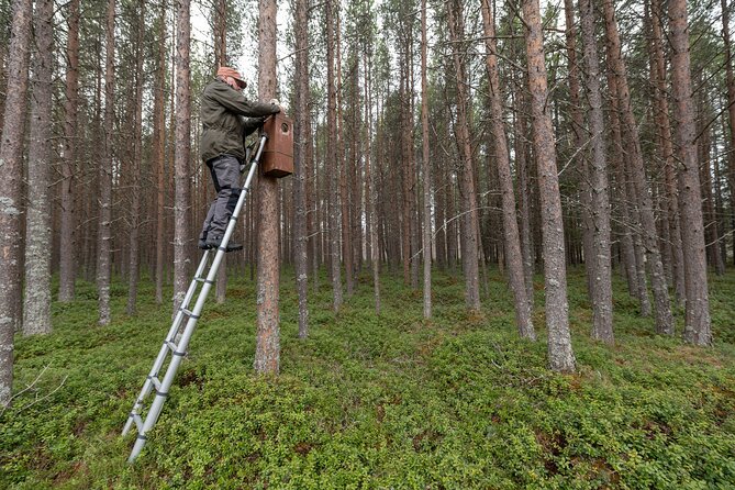 Ethical Tour Monitor Songbirds on Tromsø Island - Tour Overview