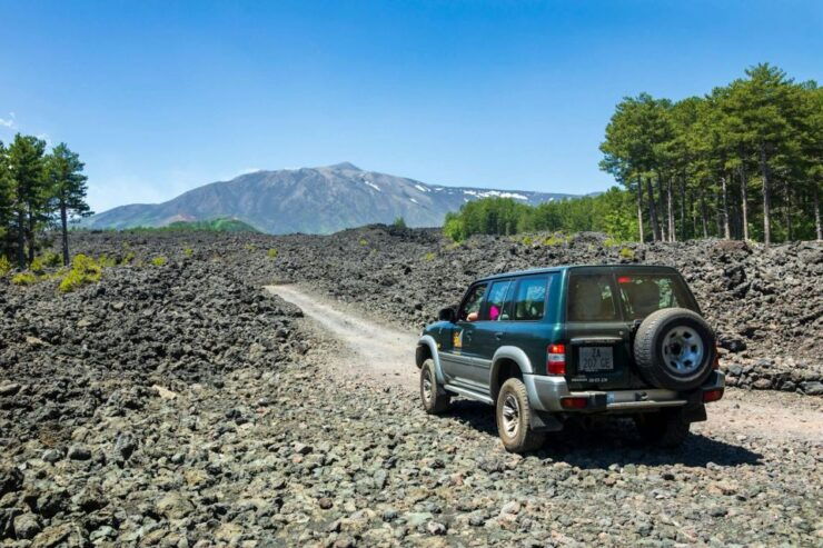 Etna 4x4 & Wine Tasting Tour - Tour Overview