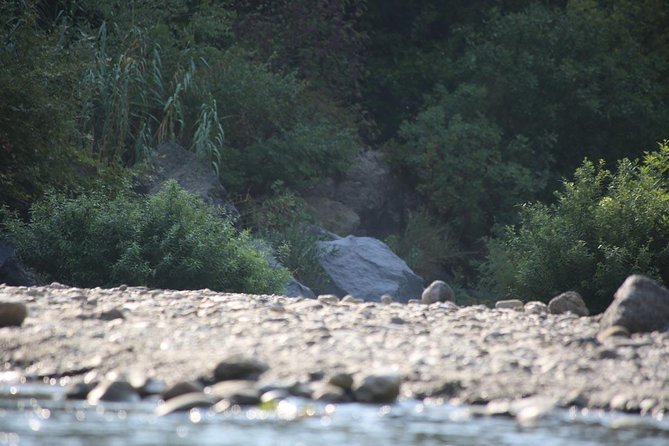 Etna & Alcantara Tour Experience - Tour Inclusions