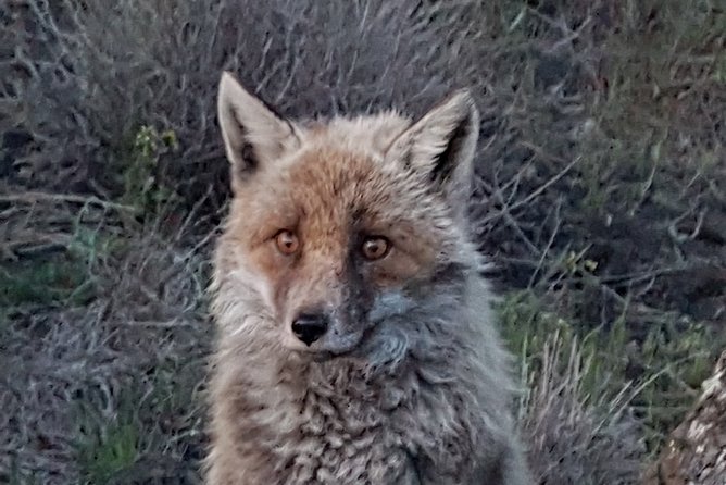 Etna and Surroundings - Etnas Volcanic Landscape