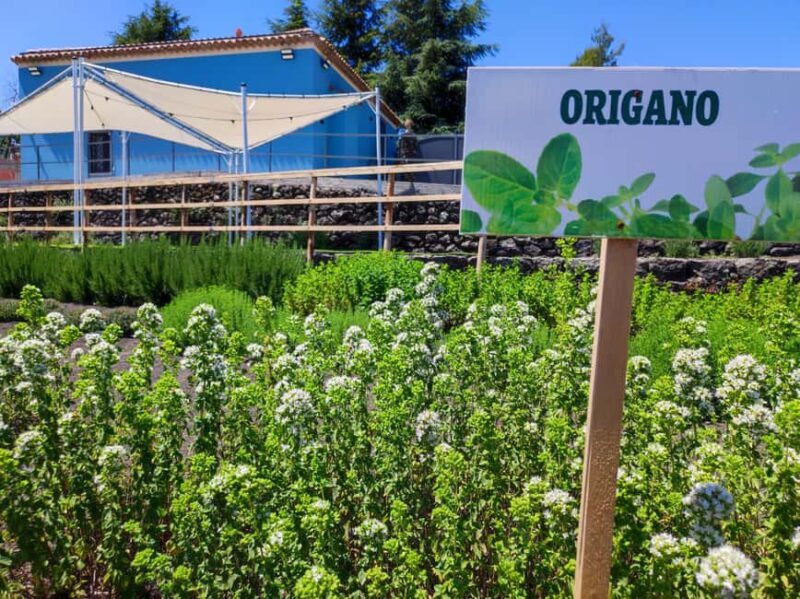 Etna Aromatic Experience: Scents of Sicily and Signature Flavors - The Itinerary: What to Expect During the Tour  