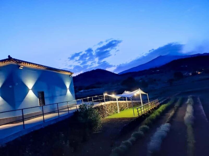 Etna Aromatic Experience: Scents of Sicily and Signature Flavors - The Overall Experience: Who Will Appreciate It Most?  