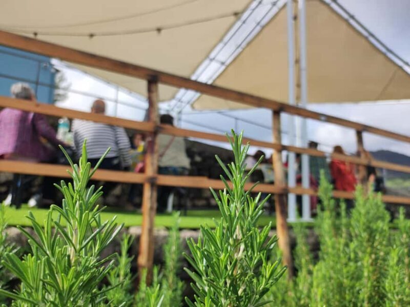 Etna Aromatic Experience: Scents of Sicily and Signature Flavors - Final Thoughts  