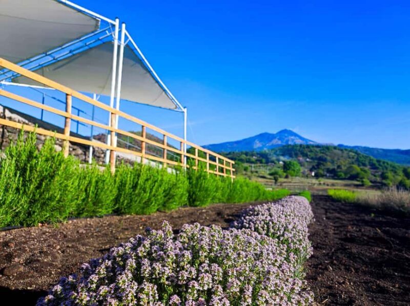 Etna Aromatic Experience: Scents of Sicily and Signature Flavors - FAQ  