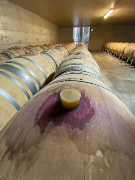 Etna Bike and Wine: Tasting & Sunset on Etna - Frequently Asked Questions