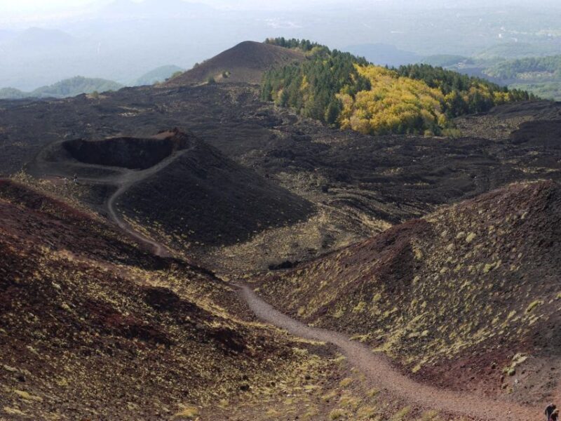 Etna by Panoramic Bus, Audioguide 9 languages, from Catania - Who Will Love This Tour?