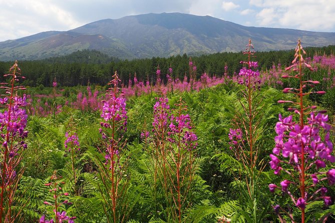 Etna Colors & Flavors - 4x4 Tour - Additional Information