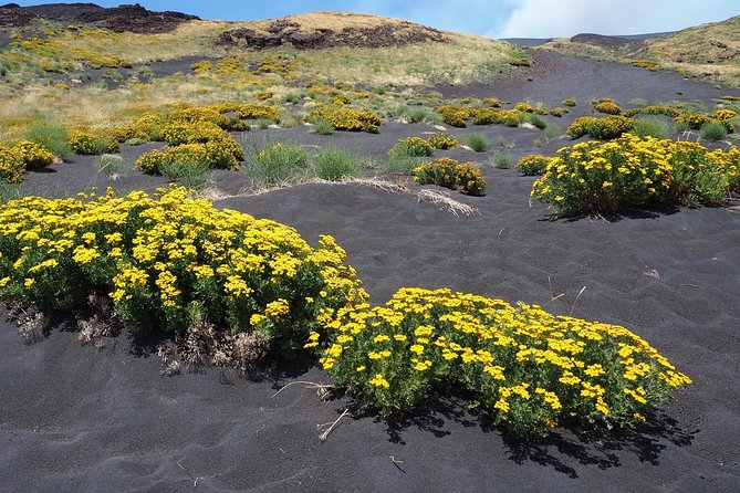 Etna Colors & Flavors - 4x4 Tour - The Sum Up