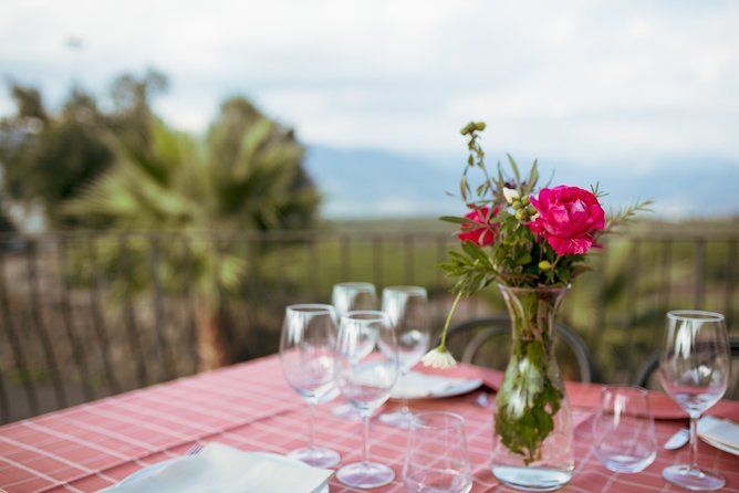 Etna Countryside Food and Wine Lovers Tour (Small Group) - Viator Help Center and Product Information