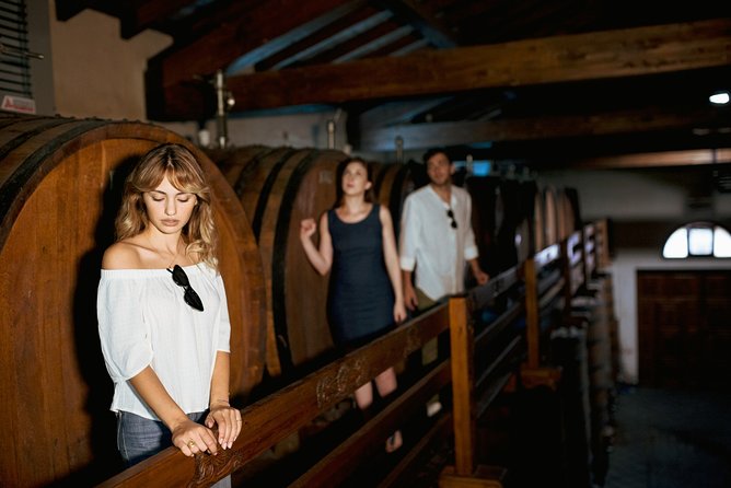 Etna Countryside Food and Wine Lovers Tour (Small Group) - Terms & Conditions