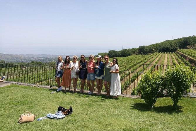 Etna Excursion and Lunch - Wine Tasting in Etna DOC Vinery - Important Information