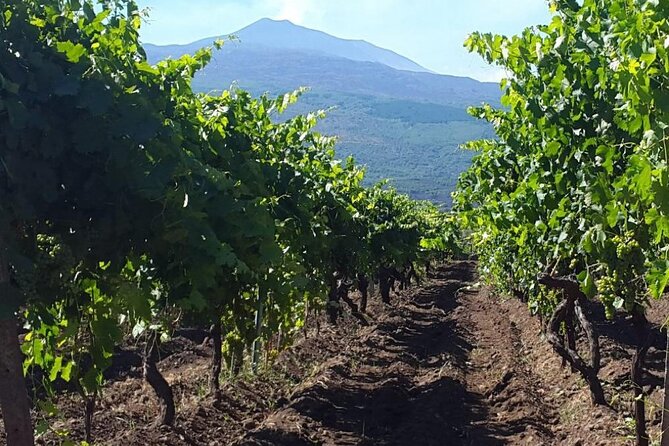 Etna Excursion and Wine Tasting With Sicilian Lunch - Questions and Help Center