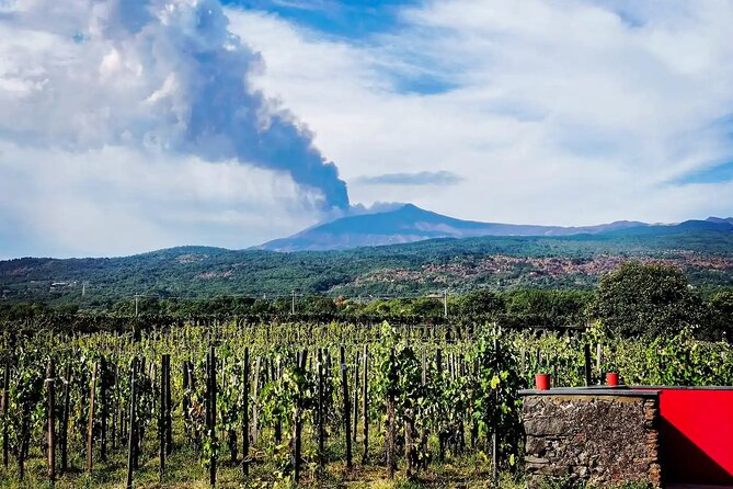 Etna Excursion and Wine Tasting With Sicilian Lunch - Price Details and Variations