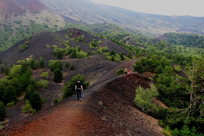 Etna Excursion - Traveler Reviews and Ratings