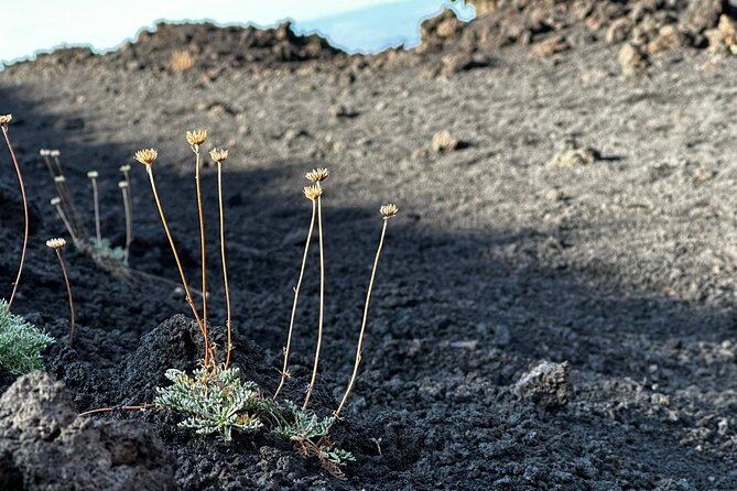 Etna Excursion Morning or Sunset and Visit Lava Flow Cave - Common Questions