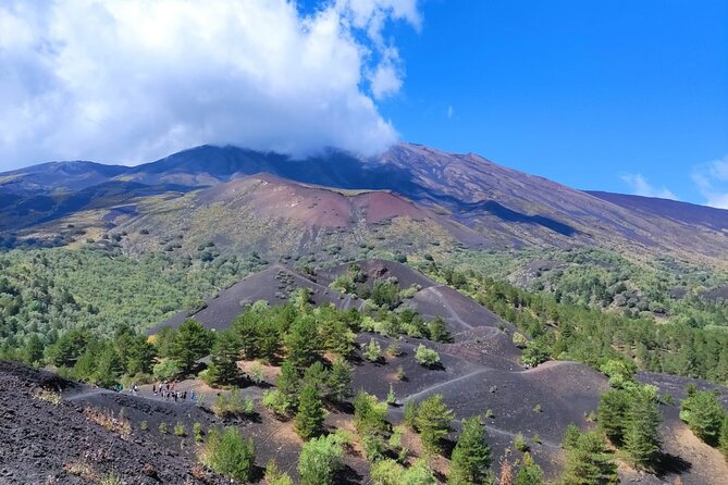 Etna Excursions & Alcantara Gorges - From Catania - - Inclusions and Meeting Point
