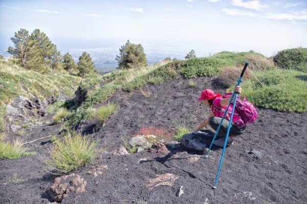 Etna Family Tour: Private Excursion on Etna Mt. for Families - Tips for Families
