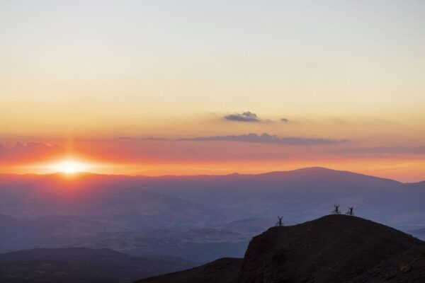Etna Half-day E-bike Tour Daytime/Sunset - Frequently Asked Questions