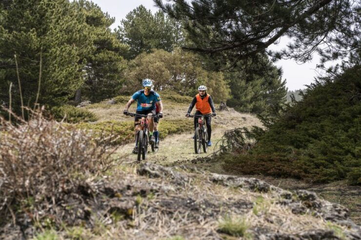 Etna: Half-Day Mt Etna Mountain Bike Tour - Experience Highlights