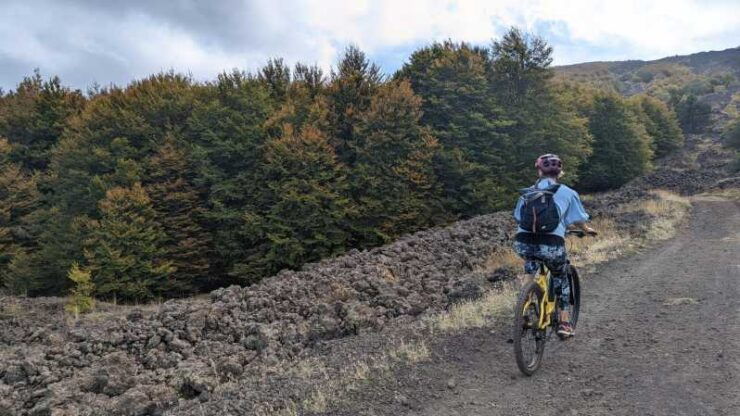 Etna in E- Bike and Wine Taste Experience - Good To Know